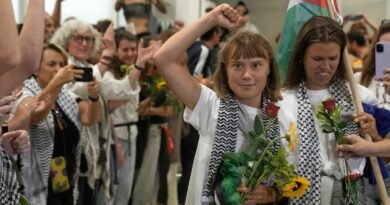 Greta Thunberg Soroti Kabut Asap Kalimantan, Ajak Dunia Bantu Korban Karhutla