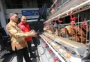 Mahasiswa ITS Kembangkan Sistem Peternakan Ayam Berbasis Internet dan AI