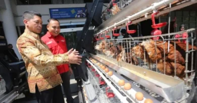 Mahasiswa ITS Kembangkan Sistem Peternakan Ayam Berbasis Internet dan AI
