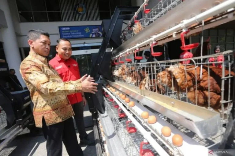 Mahasiswa ITS Kembangkan Sistem Peternakan Ayam Berbasis Internet dan AI