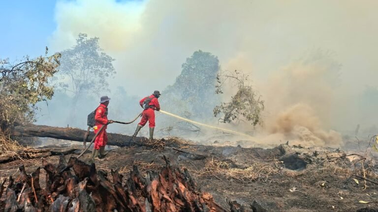 BNPB Sebut 454,25 Hektare Lahan Terbakar di 6 Provinsi Berhasil Dipadamkan