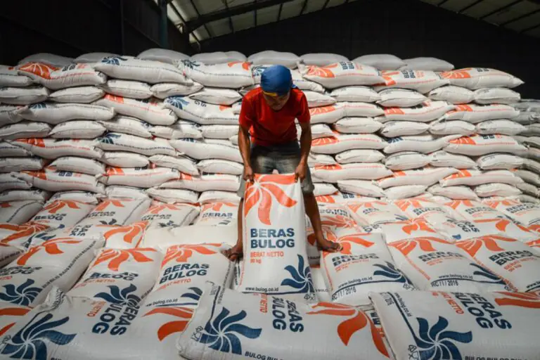Kendalikan Harga Pasar, Bulog Gelontorkan 300 Ribu Beras Premium