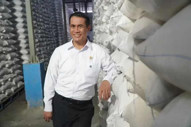 Stok Beras Cetak Rekor Tertinggi 4,56 Juta Ton Selama 2 Tahun Pemerintahan Prabowo