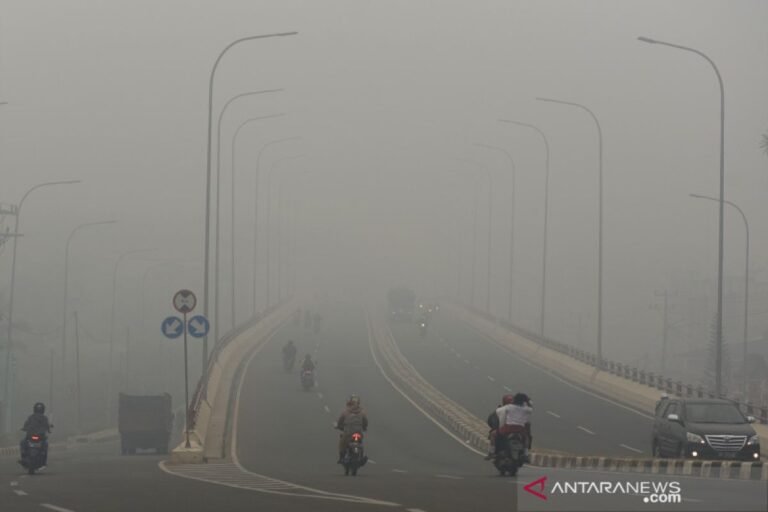 3.663 Titik Panas Terdeteksi di Pulau Sumatera