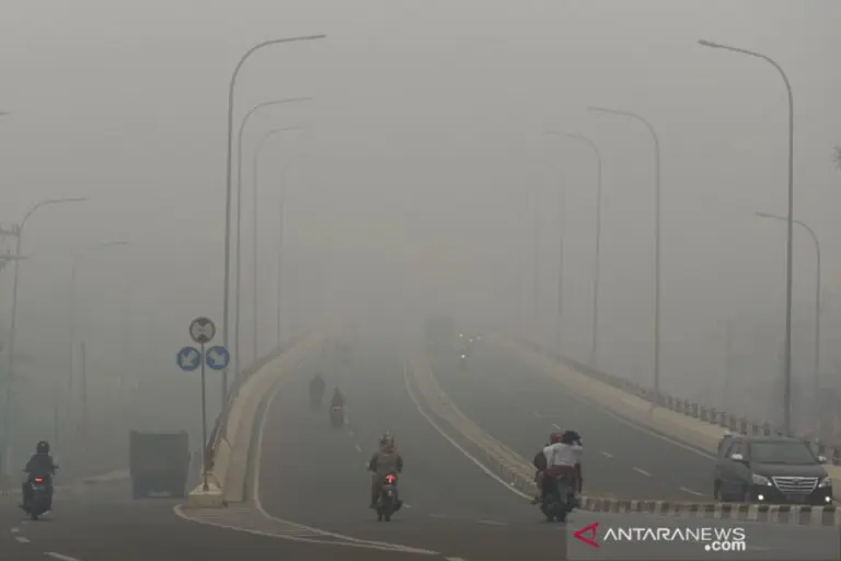 3.663 Titik Panas Terdeteksi di Pulau Sumatera