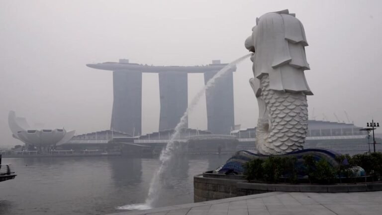 Terungkap Hasil Pertemuan Bos Sawit RI dengan Menteri Singapura soal Kabut Asap